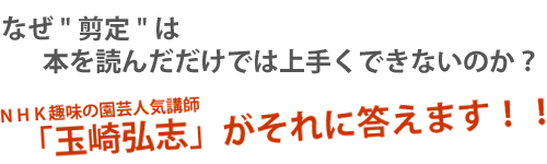 玉崎弘志がそれに答えます！！