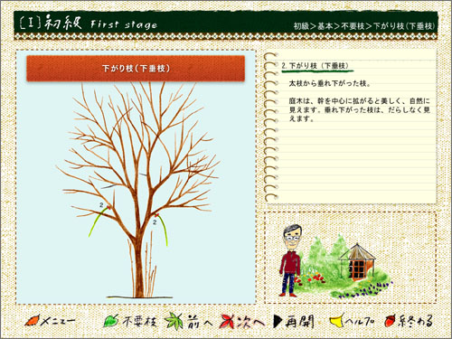 学習画面