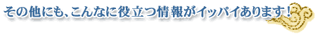 そのほかにも、こんなに役立つ情報がイッパイあります