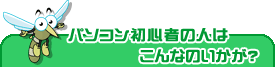 パソコン初心者の人はこんなのいかが？